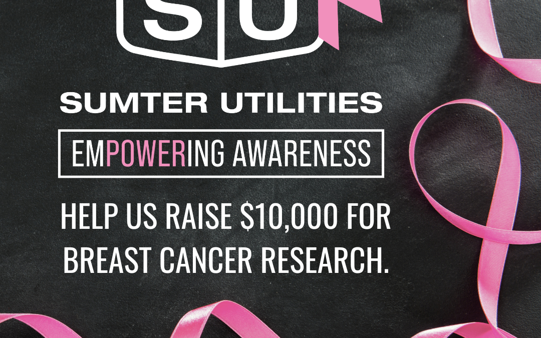 EmPOWERing Awareness in the Fight Against Breast Cancer